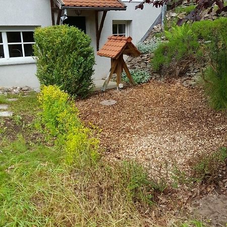 Gartenwohnung Bodetalblick Thale Kültér fotó