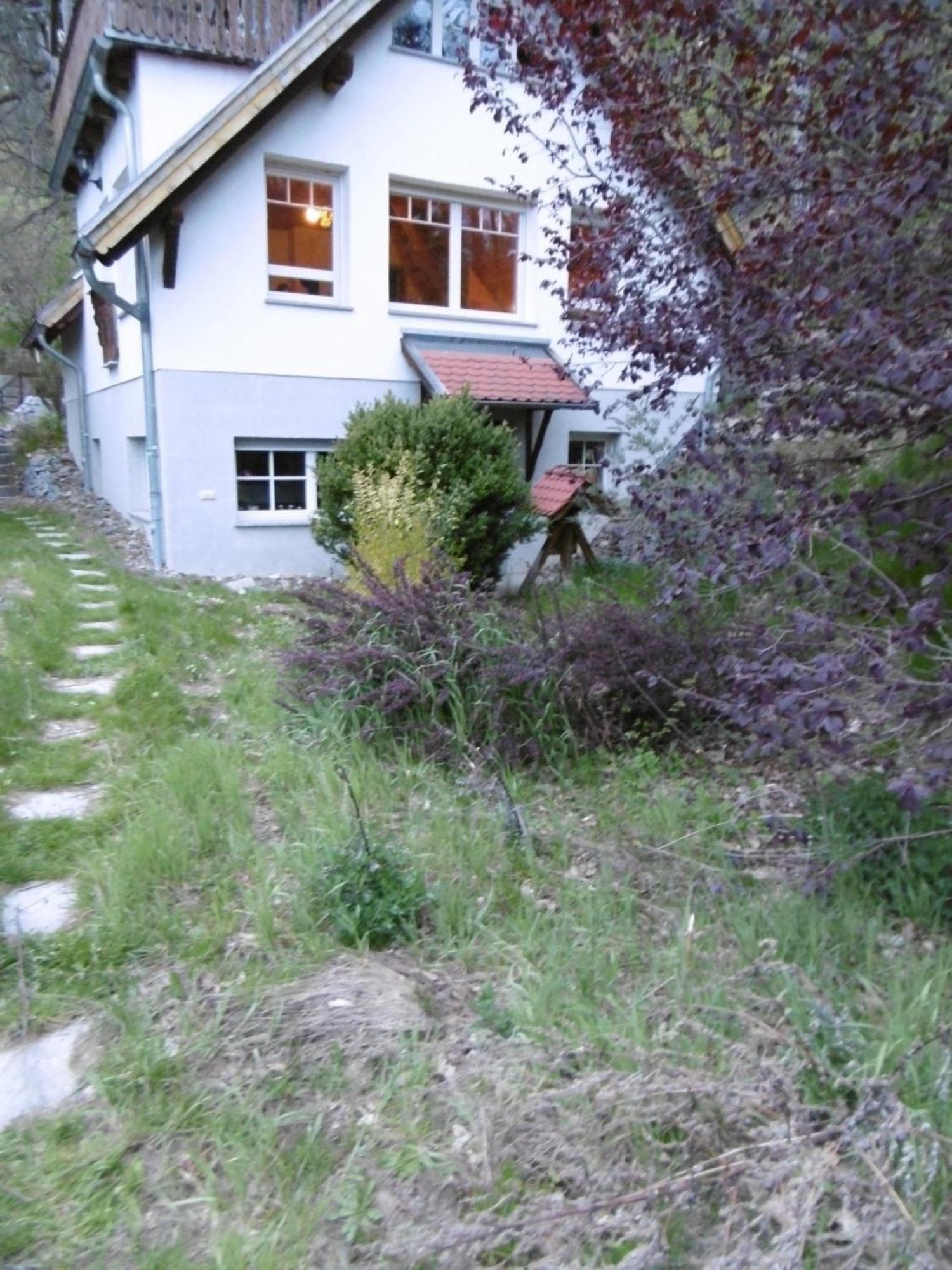 Gartenwohnung Bodetalblick Thale Kültér fotó