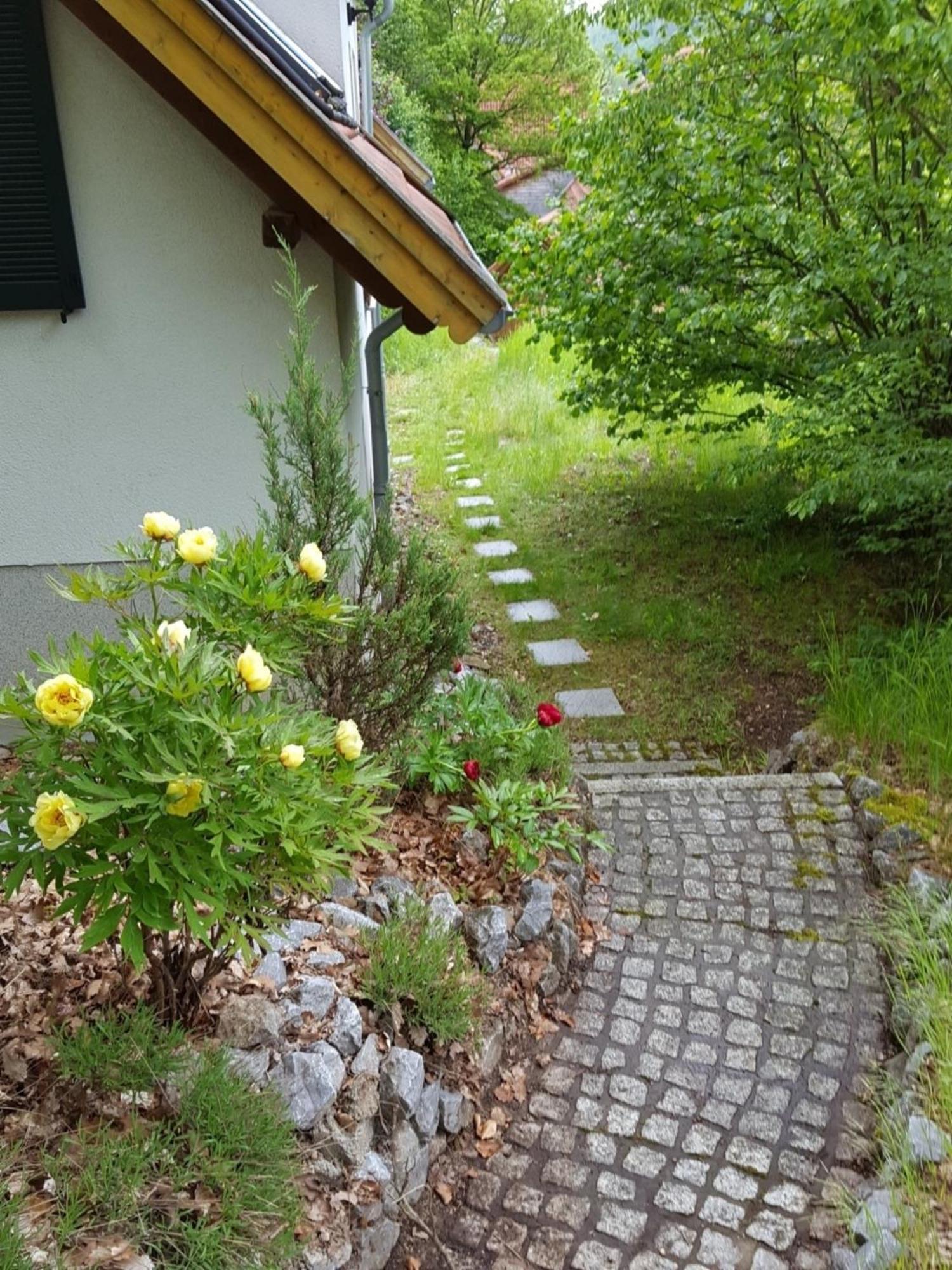 Gartenwohnung Bodetalblick Thale Kültér fotó